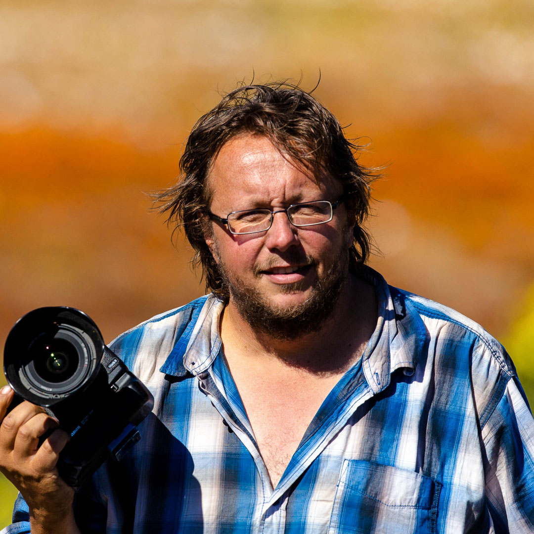 beppo niedermeier focuswelten