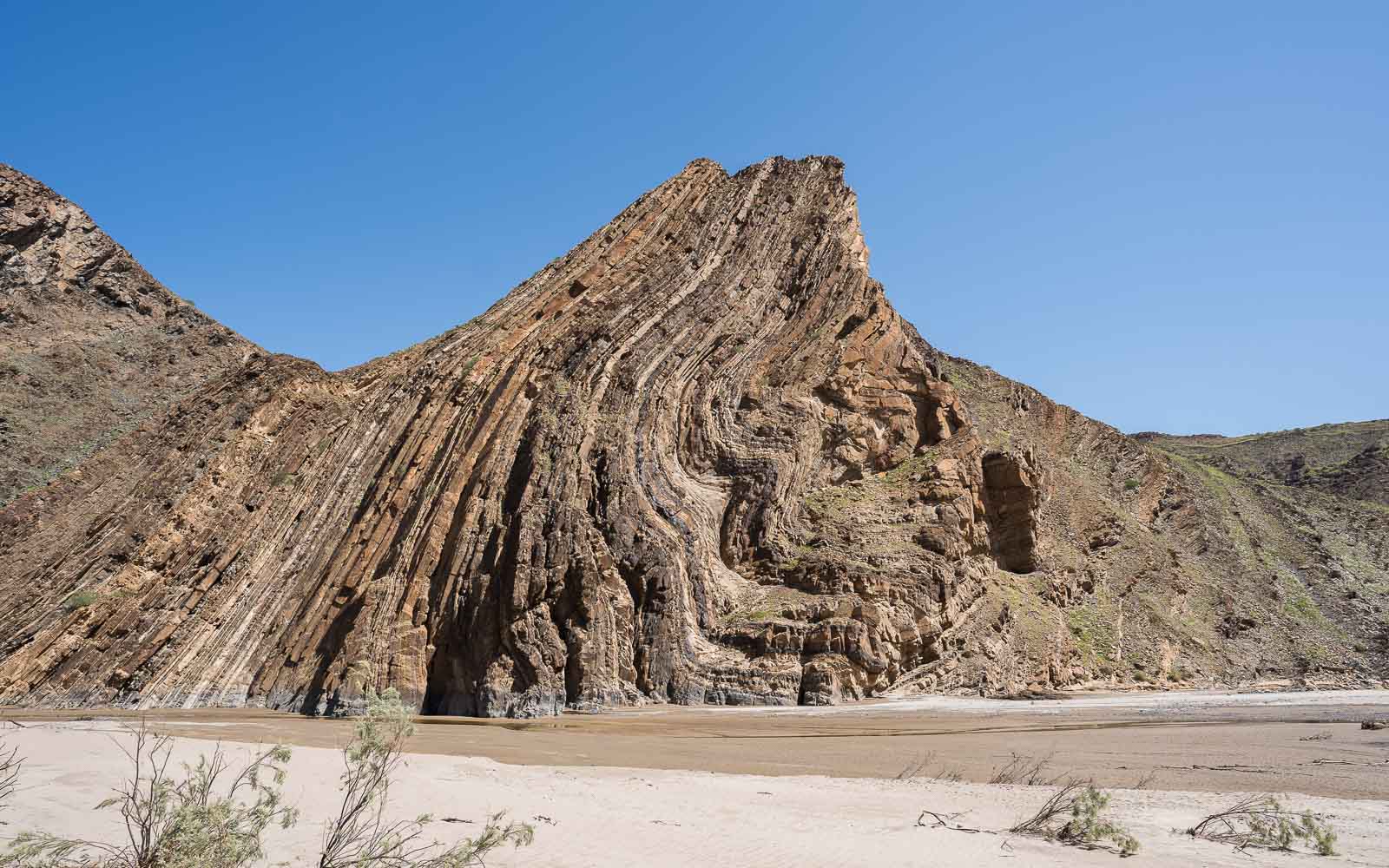 buschmann selfdrive 110