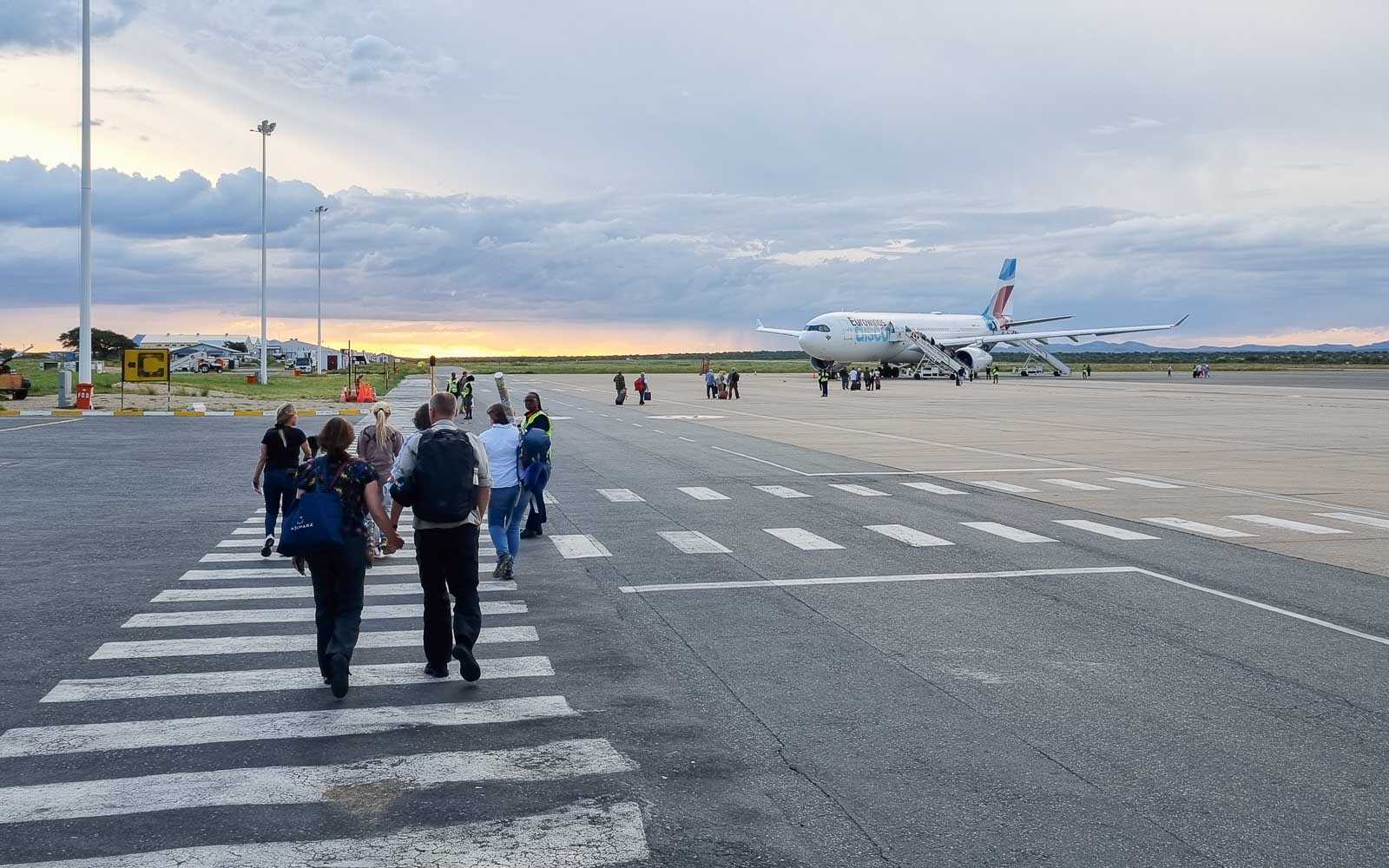 buschmann selfdrive 260