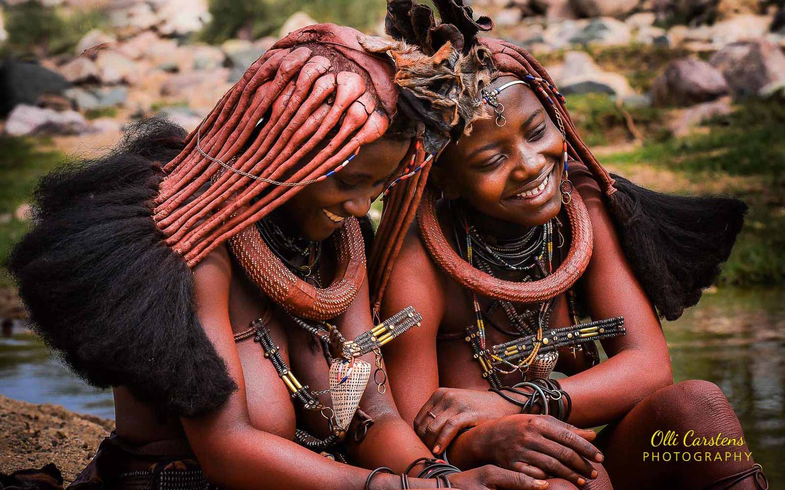 buschmann selfdrive 453