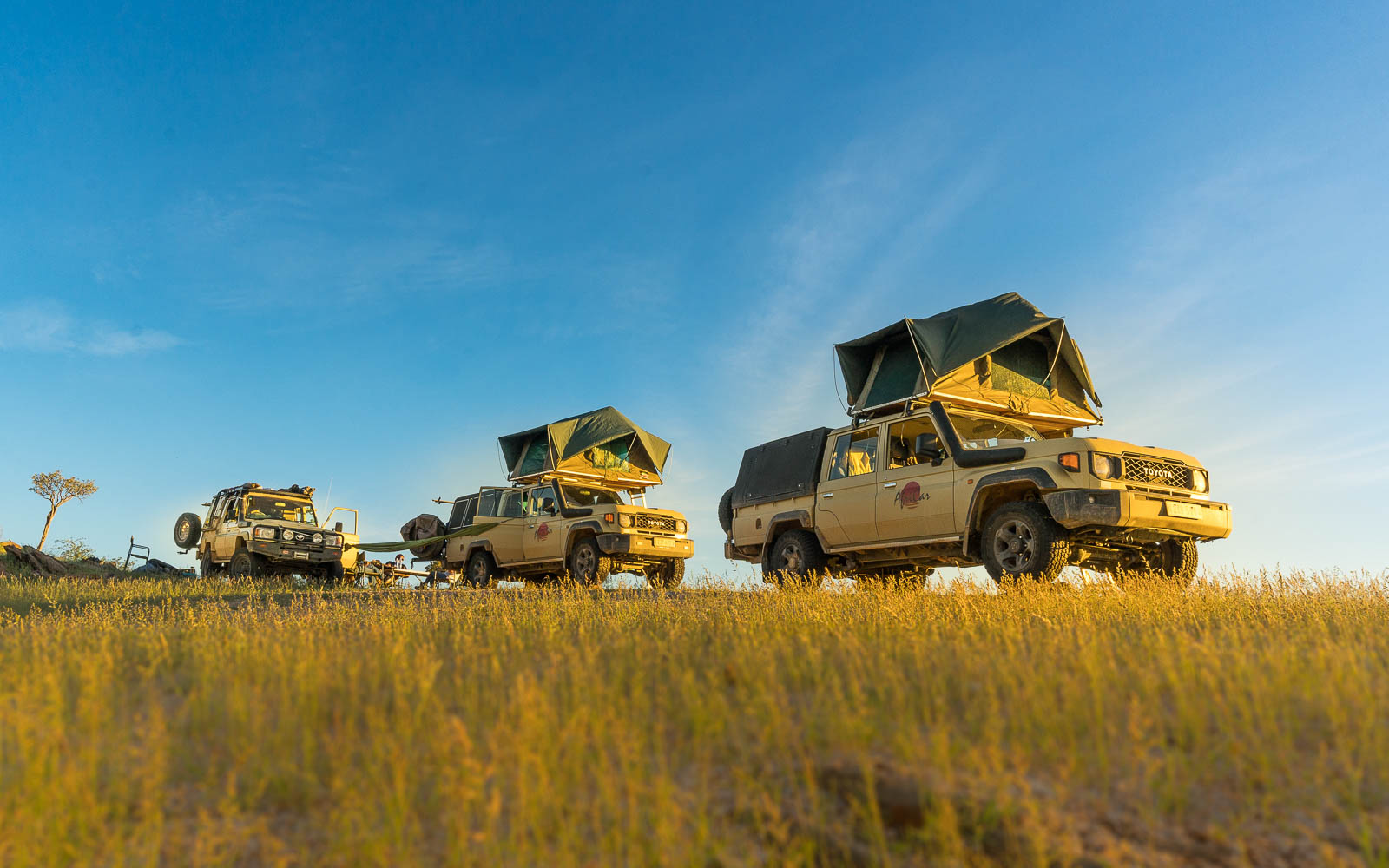 buschmann selfdrive 53