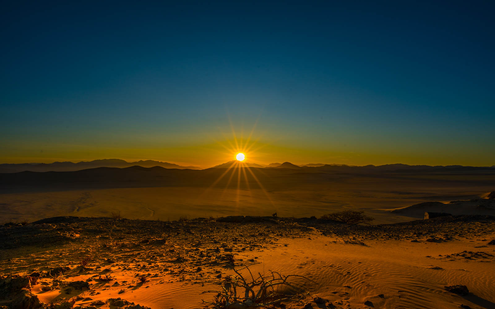 buschmann selfdrive 57