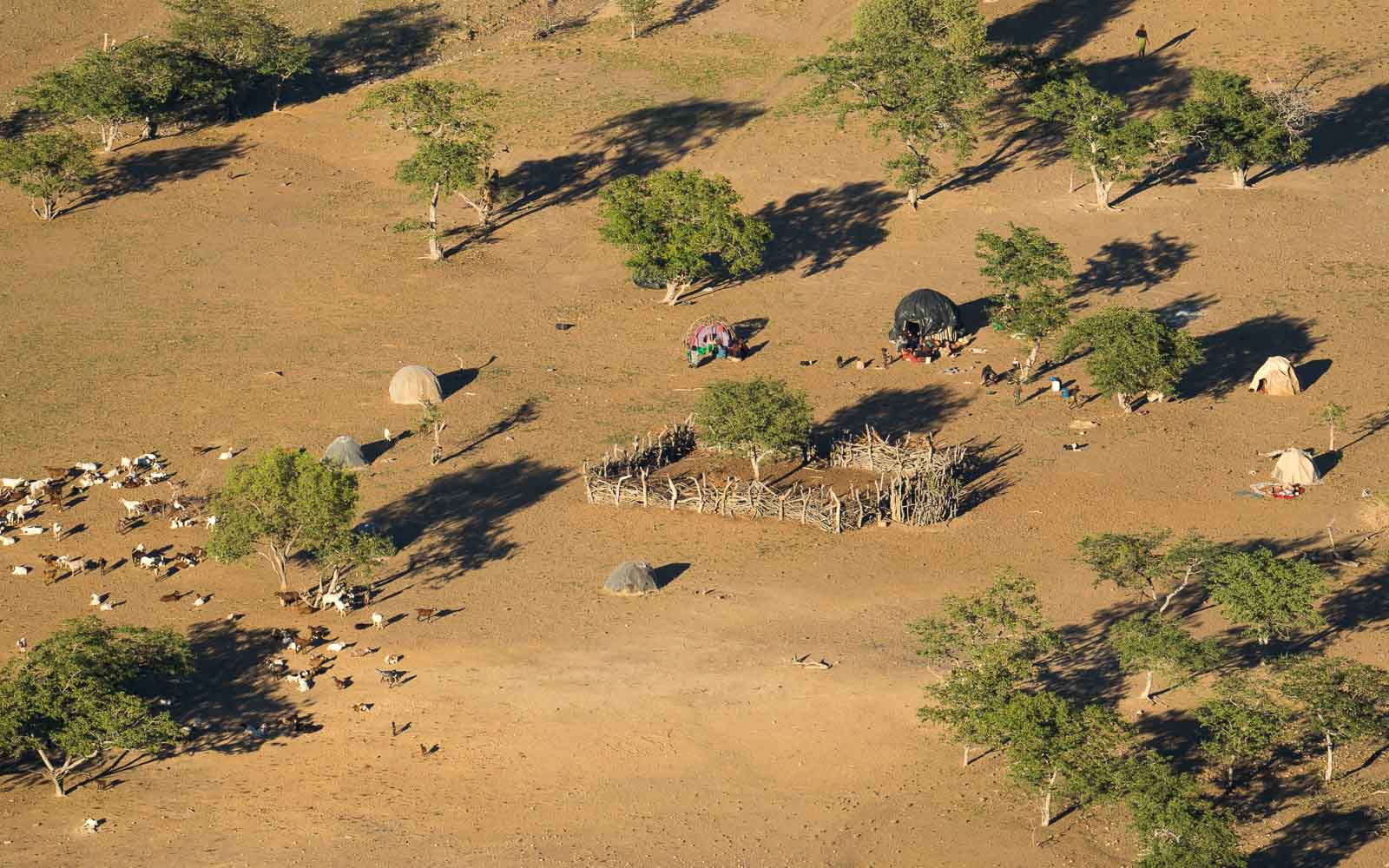 buschmann selfdrive 9