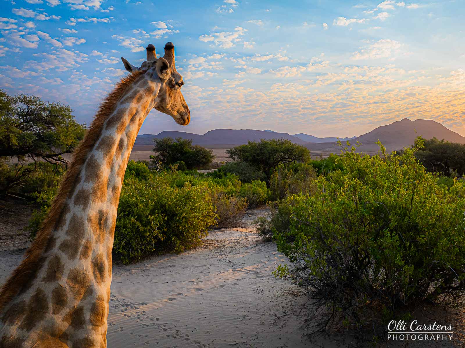 namibia extrem fotosafari 24