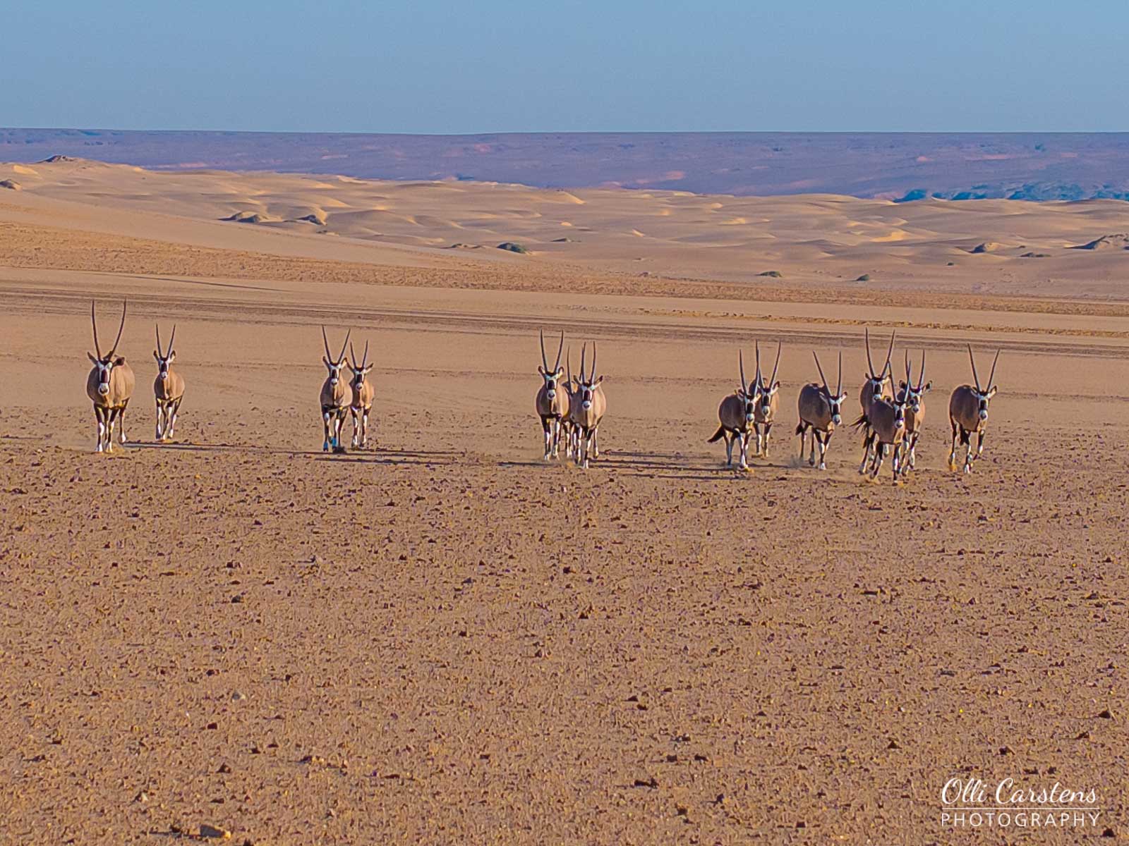 namibia extrem fotosafari 31